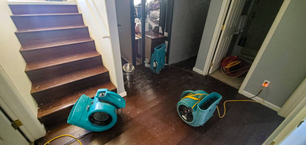 Best Flooded house restoration  in Deerfield Beach, FL