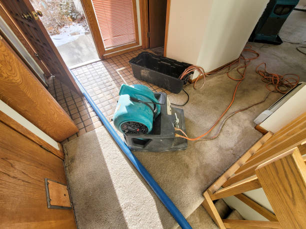 Best Basement water damage restoration  in Deerfield Beach, FL